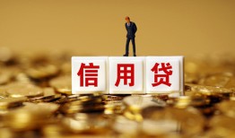 东莞信用哪里可以民间借贷-东莞信用私人借钱当天拿钱-东莞信用贷款联系电话