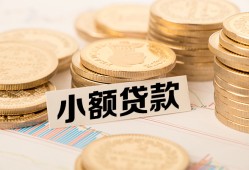 东莞信用哪里有小额贷款-东莞信用身份证贷款平台-东莞信用民间短借
