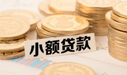 东莞信用哪里有小额贷款-东莞信用身份证贷款平台-东莞信用民间短借